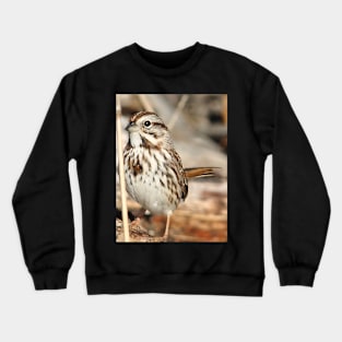 You dont see me Crewneck Sweatshirt